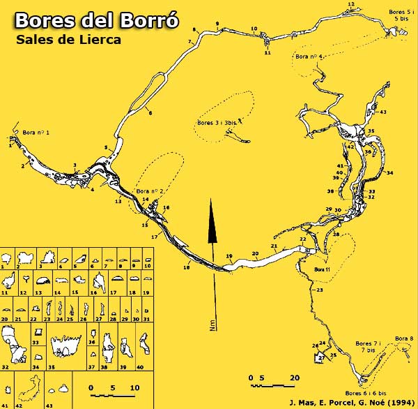 Bores del Borró 10/01/2015