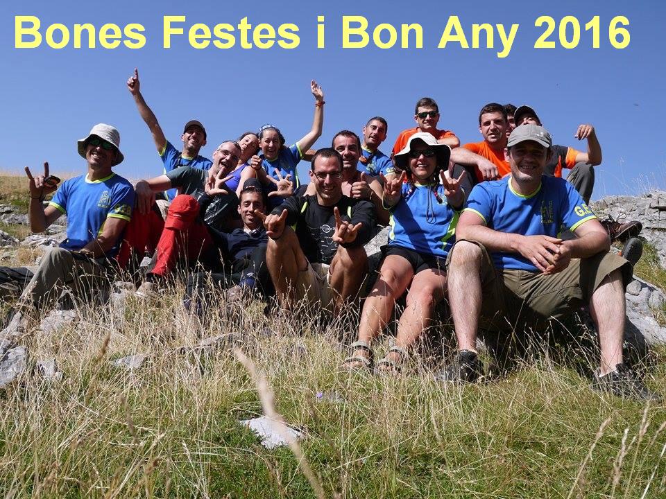 Bones Festes i Bon Any 2016!