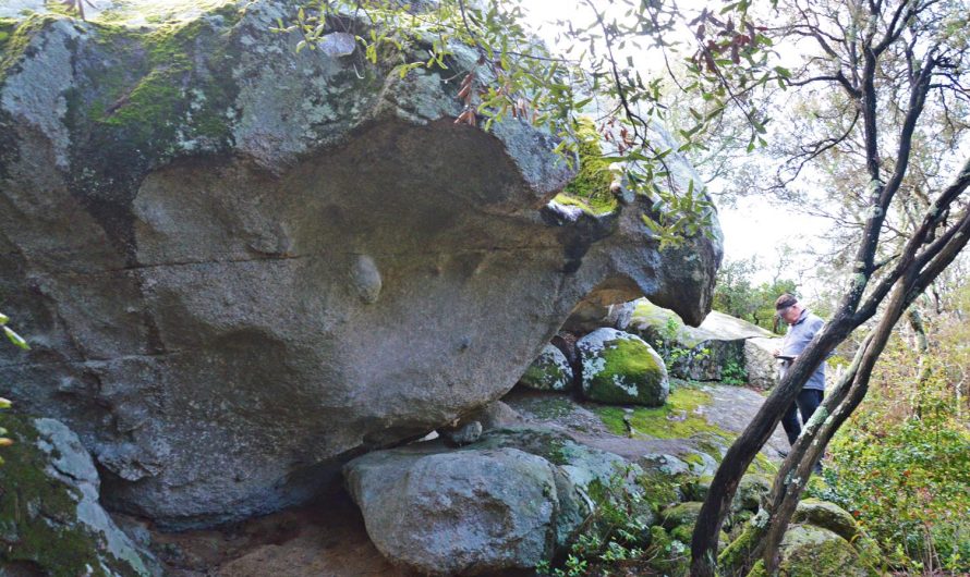 ESQUEIERES D’EN ROGENT. LA COVETA I LA BALMA (Dosrius. Maresme)