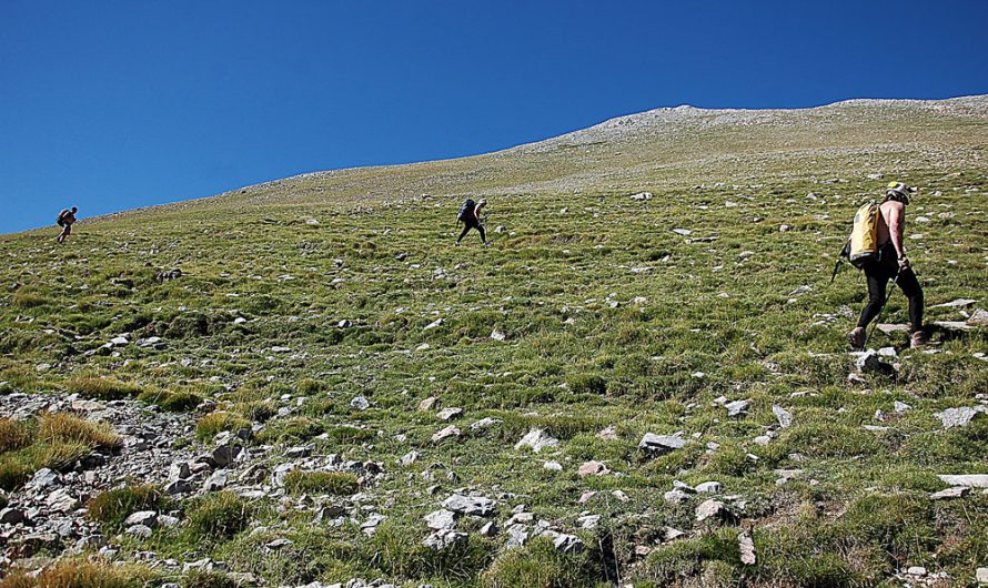 COVA DE COMABELLA (Bagà. Berguedà)