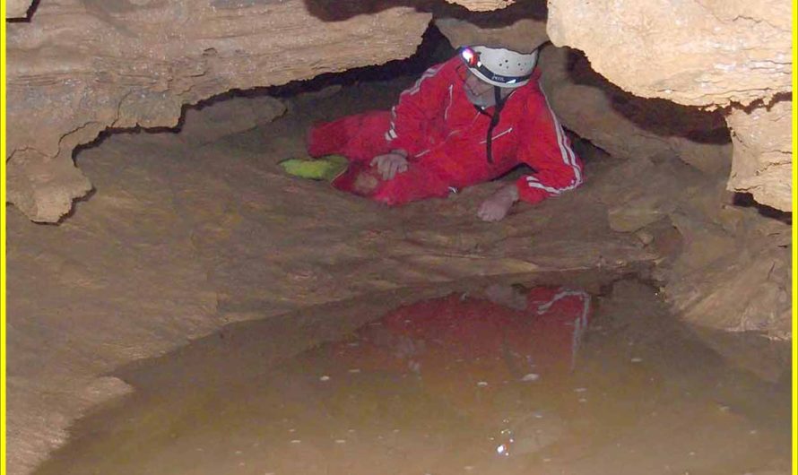 COVA DELS GORGS DEL BORRÓ (Sales de Llierca. Garrotxa)